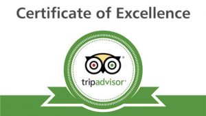 Over 100 5* reviews on TripAdvisor for the apartment